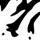 Schwarz-Wei&szlig;-Illustrator